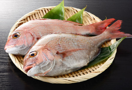 取り扱い魚種 | 鯛(タイ)