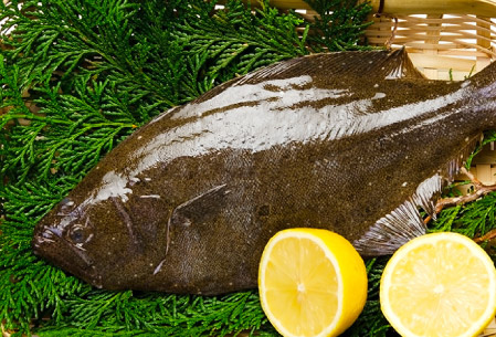 取り扱い魚種 | 鮃(ヒラメ)